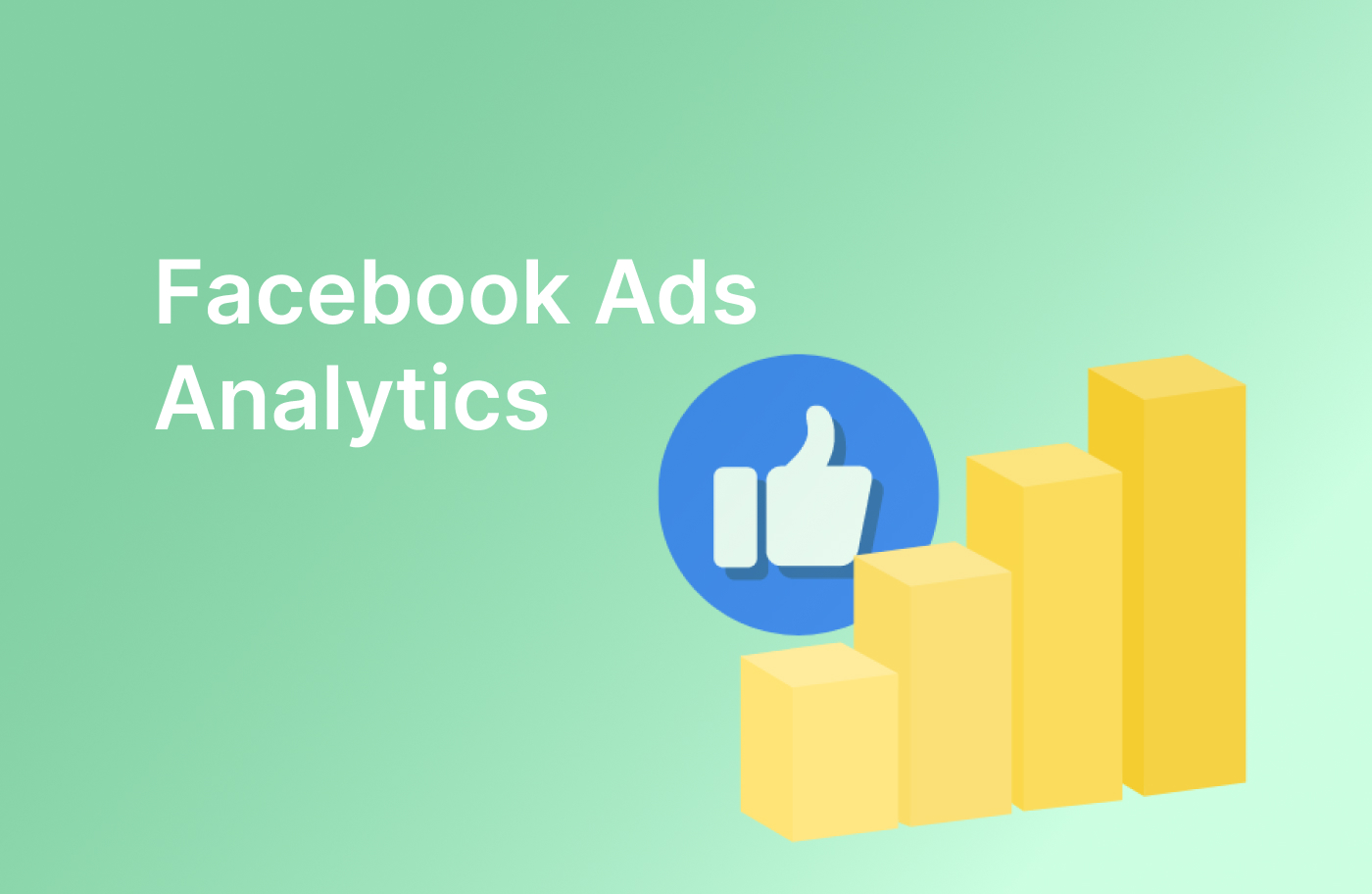 Achieving ecommerce Success through Facebook Ads Analytics